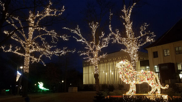 Lichterketten warm weiß als Weihnachtsbeleuchtung für festliche Beleuchtung- Großkonzerne und Werbezwecke