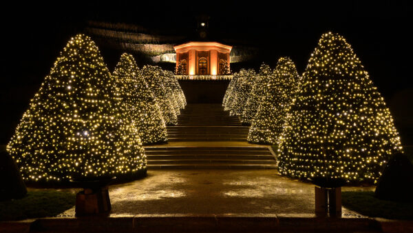 Lichterketten warm weiß als Weihnachtsbeleuchtung für festliche Beleuchtung- Großkonzerne und Werbezwecke