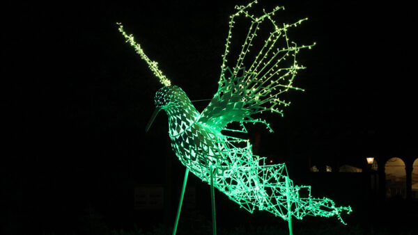 Der Kolibri erstrahlt in grünen LEDs
